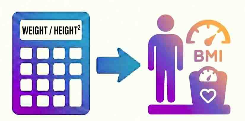 BMI Calculator Online tool icon
