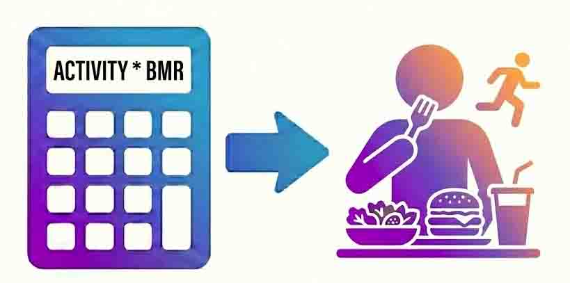 Calorie Calculator Online tool icon