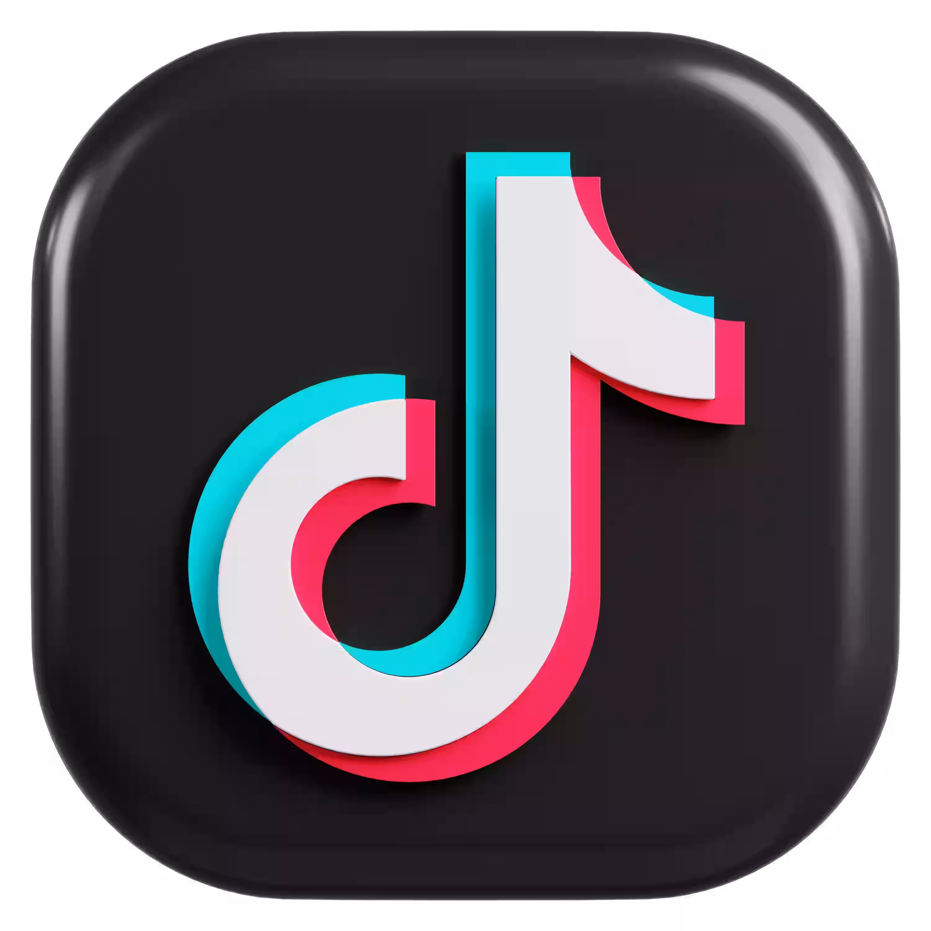 TikTok Video Downloader